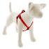 Lupine - 3/4" Step In Harness Dog