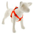 Dog Basics Step In Harness - Orange