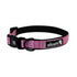 ADVENTURE COLLAR - PINK - Dog Leashes