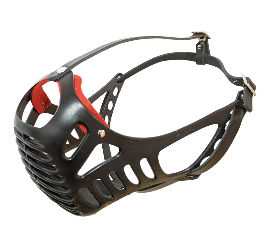 Dog Fever - Molossian Muzzle with Leather Strap (Black)