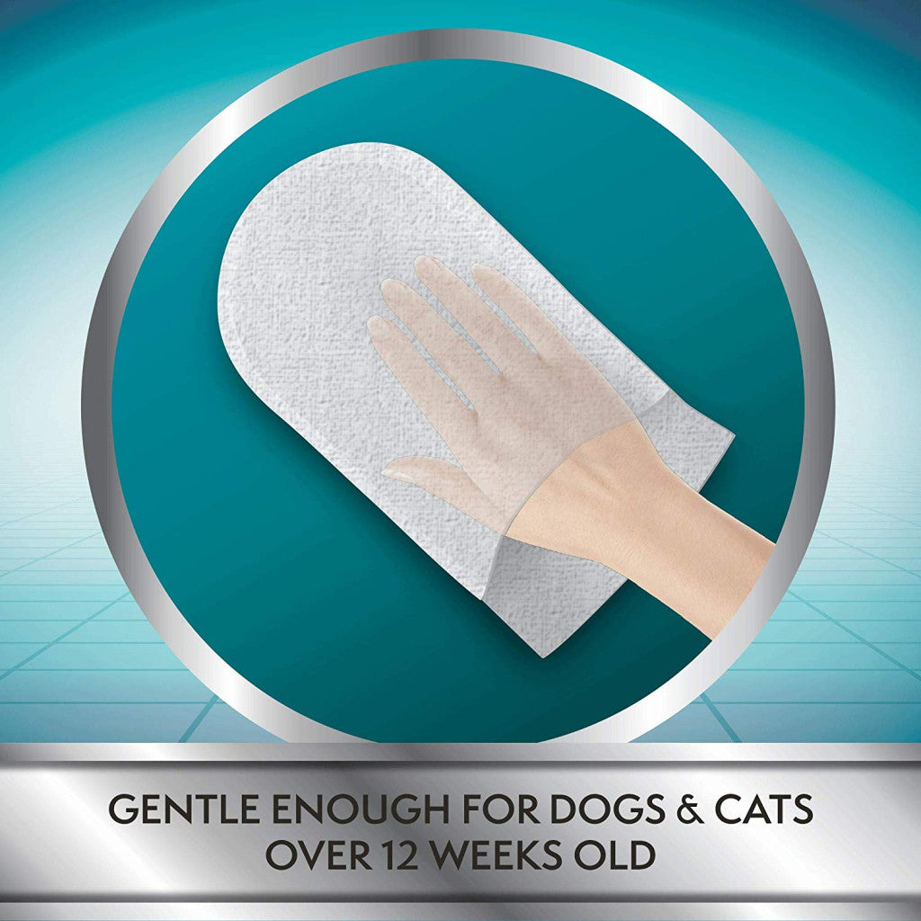 gentle enough for dogs & cats over 12 weeks old
