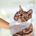 Simple Solution Pet Bath Hand Mitts 7 handwipes 17cmx28cm