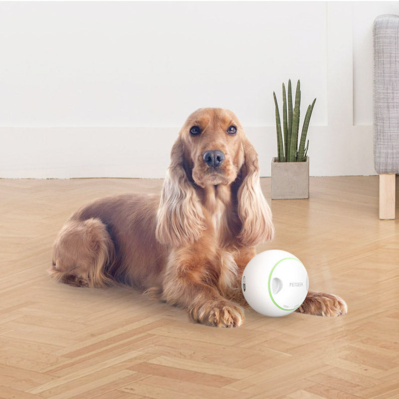 PETGEEK Foodie Orb – Automatic Rolling Treat Ball