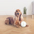PETGEEK Foodie Orb – Automatic Rolling Treat Ball