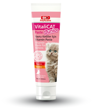 BIO VITALICAT JUNIOR MULTIVITAMIN PASTE FOR CATS