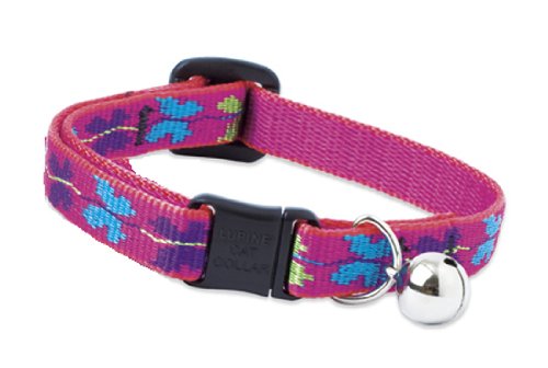 Lupine - WINGIT Cat Collar