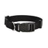 Access Collar - Black | Dog Leashes