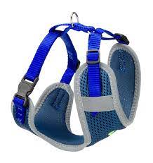 NIKITA P HARNESS BLUE