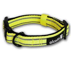 VISIBILITY COLLAR - NEON YELLOW