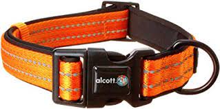 VISIBILITY COLLAR - NEON ORANGE 