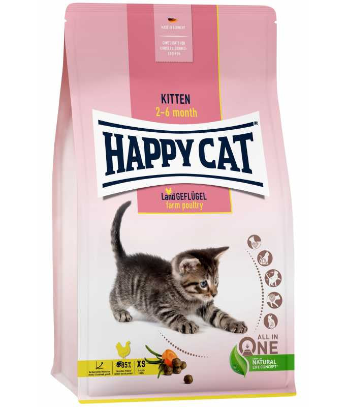 happy-cat-kitten-land-geflugel