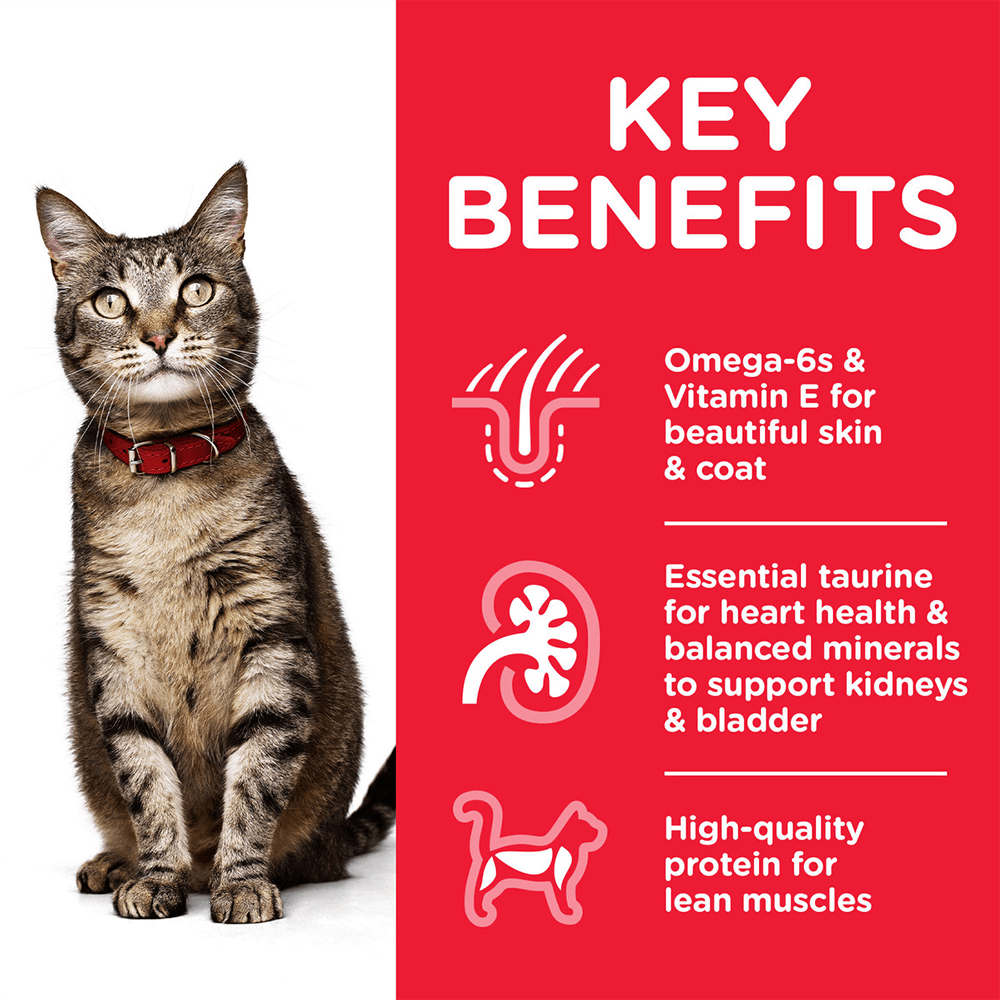 hill_s_science_plan_adult_cat_with_chicken_dry_cat_food_key benefits