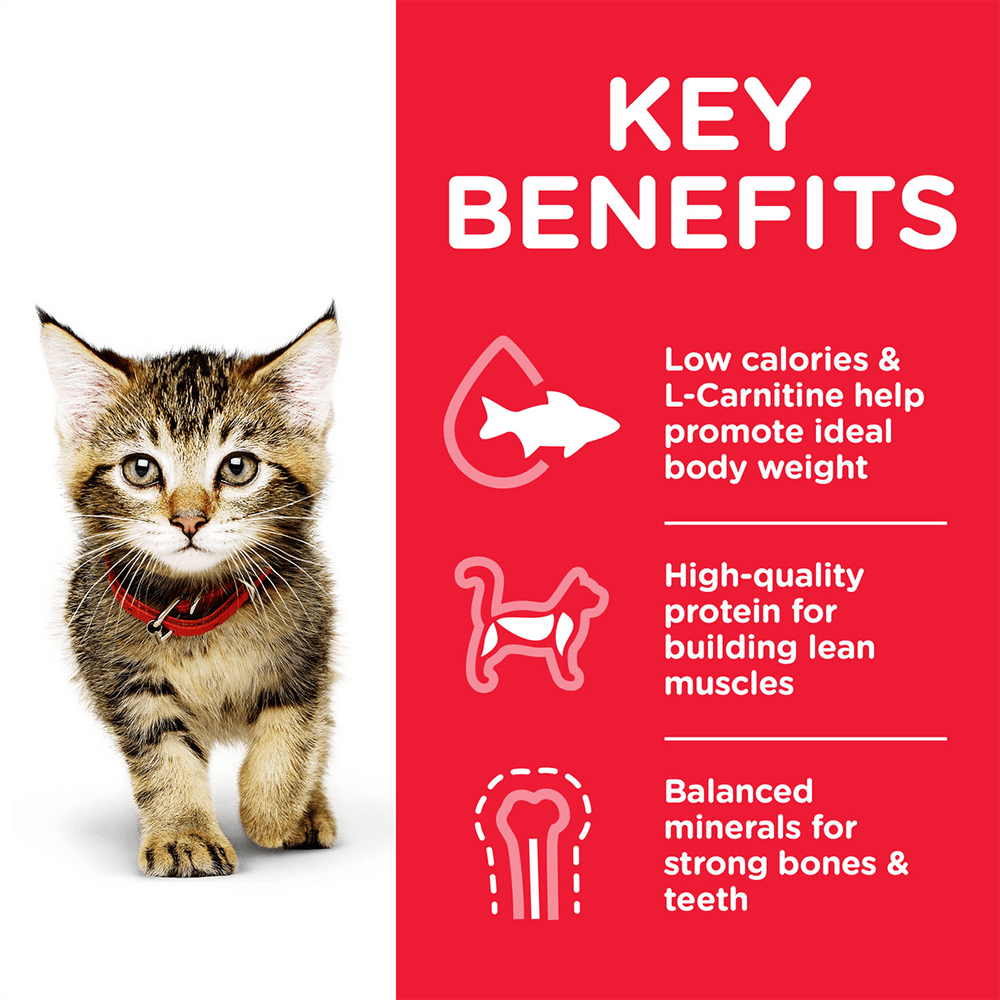 HILL'S SCIENCE PLAN KITTEN WITH CHICKEN DRY CAT FOOD 1.5 KG + 4 POUCHES
