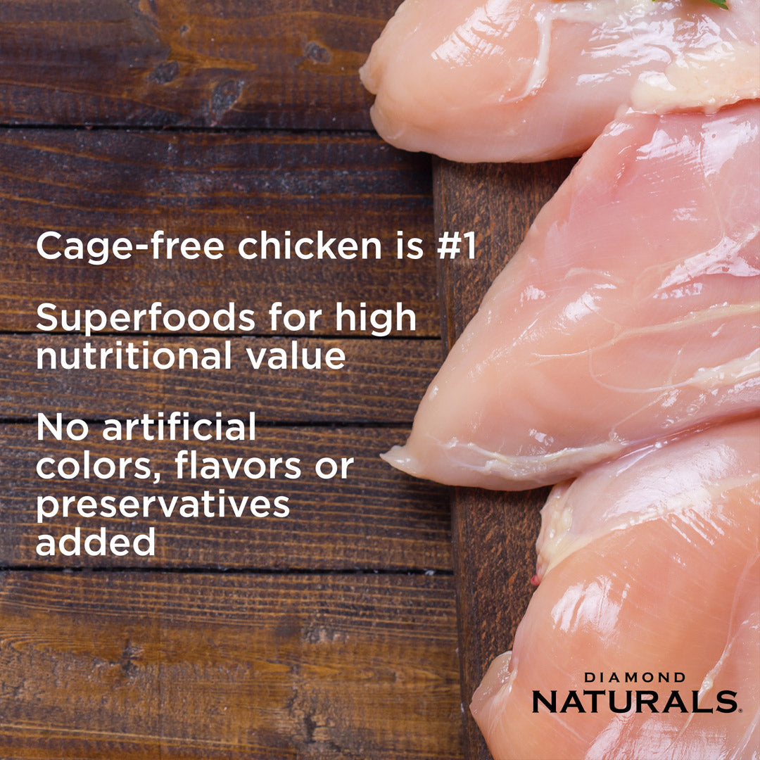 Diamond Naturals Kitten Chicken & Rice Formula