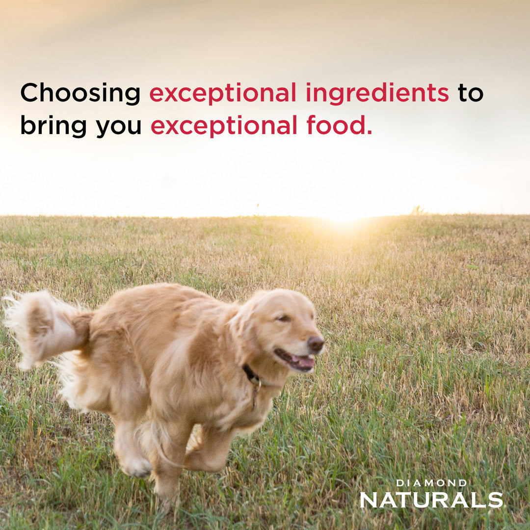 Diamond Naturals Small Breed Adult Dog Lamb & Rice Formula