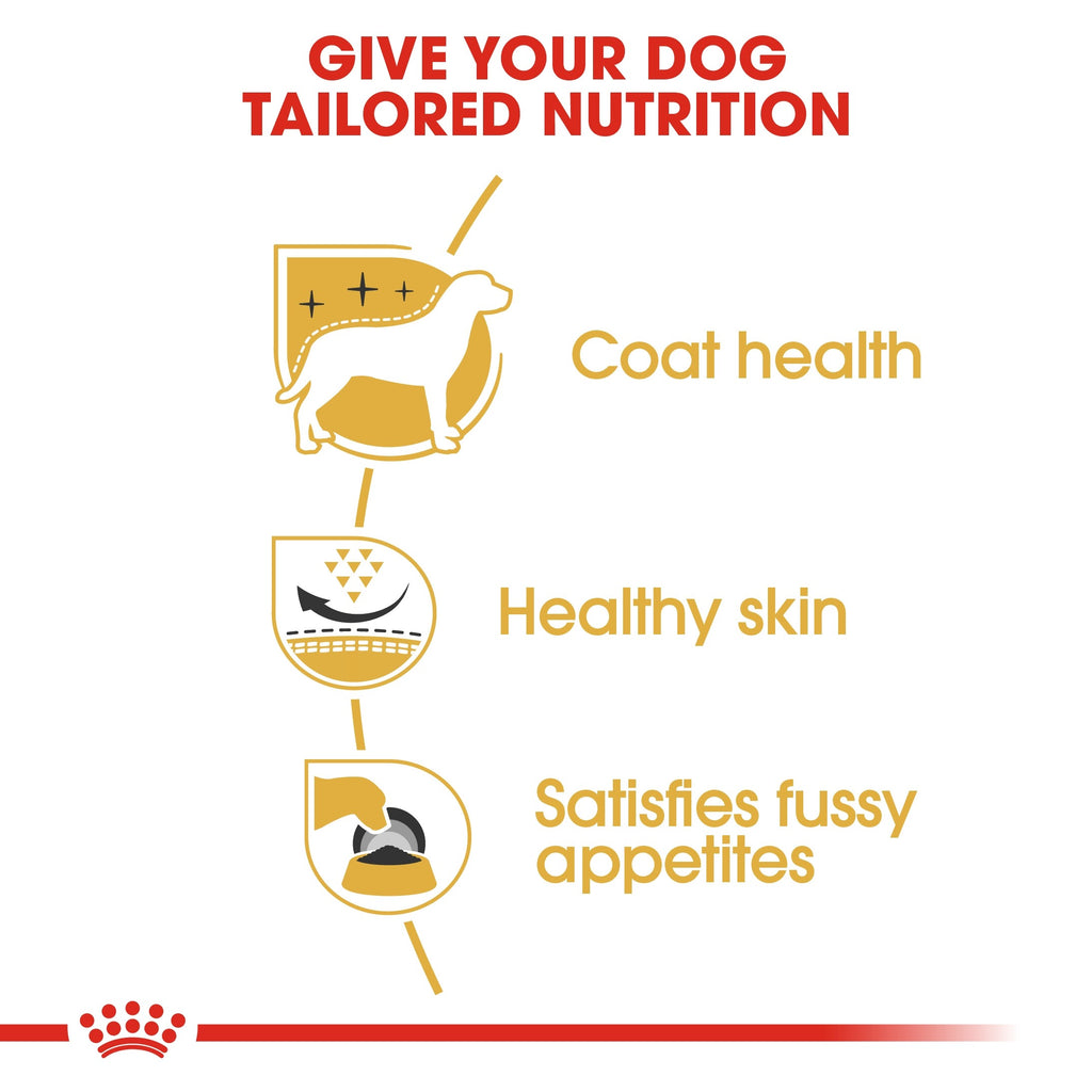 royal_canin_west_highland_white_terrier_adult_dry_dog_food