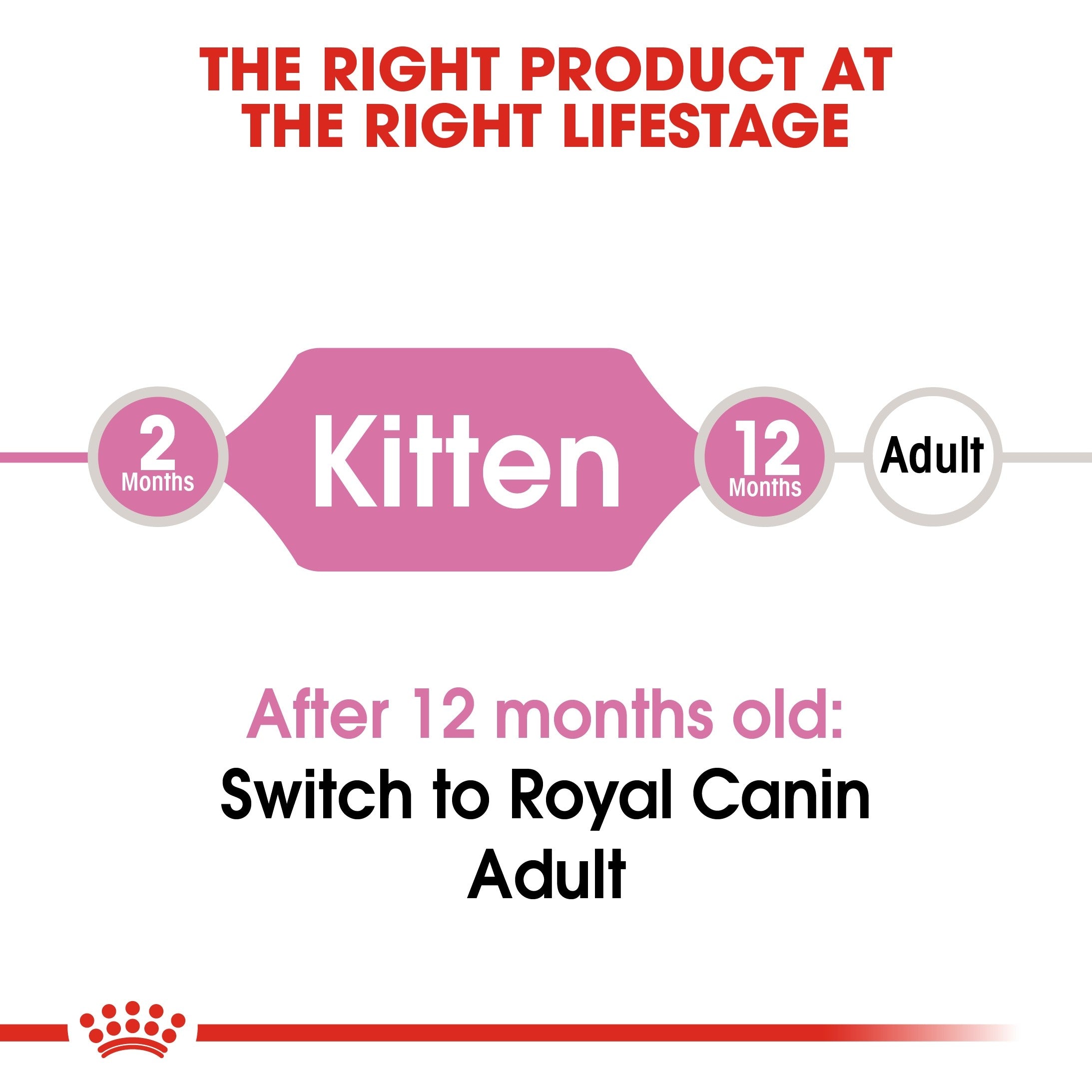 ROYALCANIN FELINE HEALTH NUTRITION KITTEN