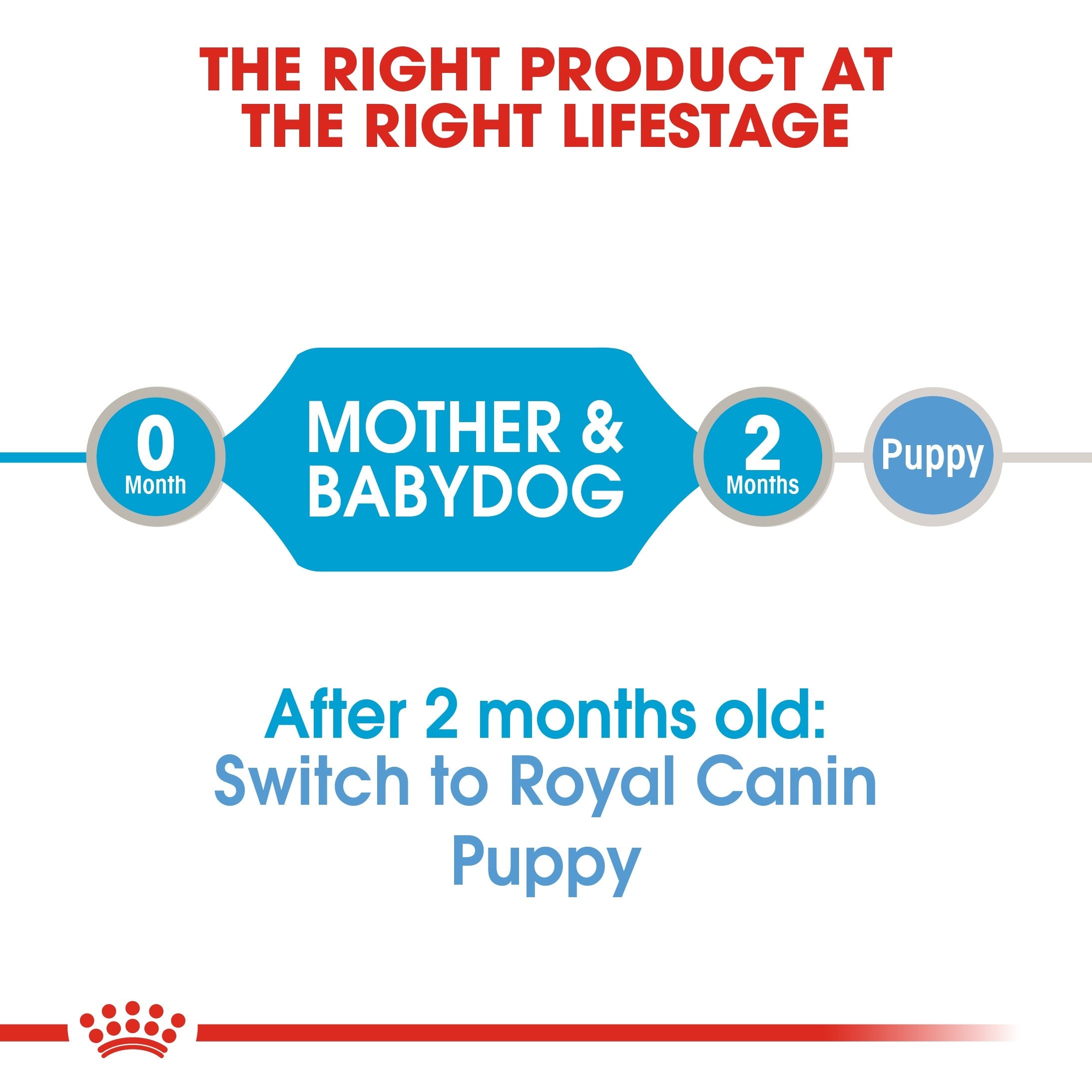 Royal Canin Starter Mousse WET FOOD Cans