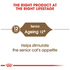 royal_canin_ageing_12_years_dry_cat_food