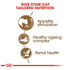 royal_canin_ageing_12_years_dry_cat_food