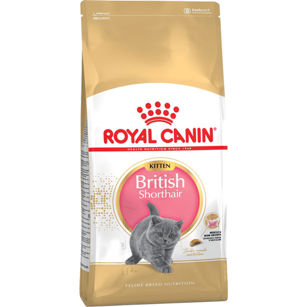 royal_canin_british_shorthair_kitten_dry_cat_food