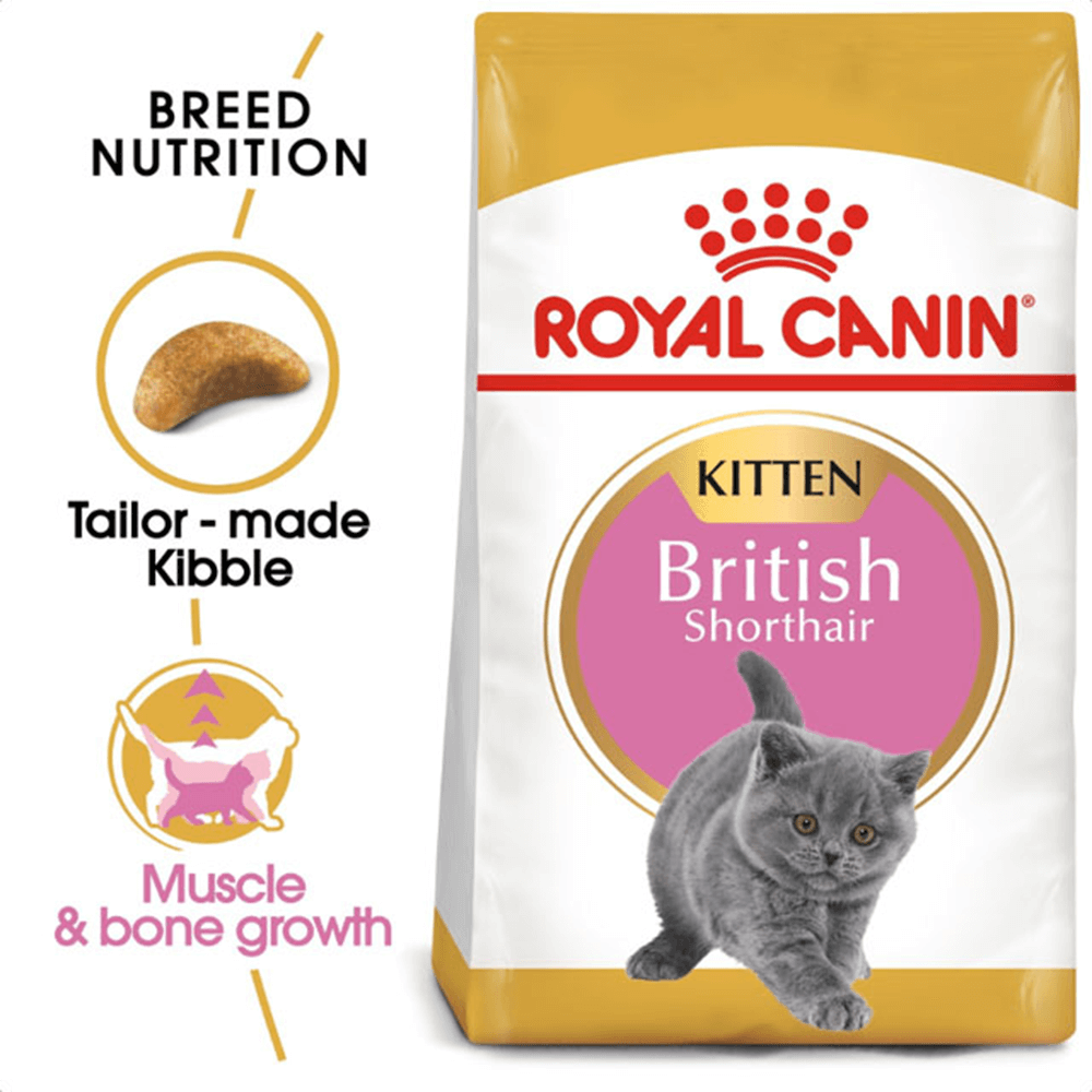 royal_canin_british_shorthair_kitten_dry_cat_food