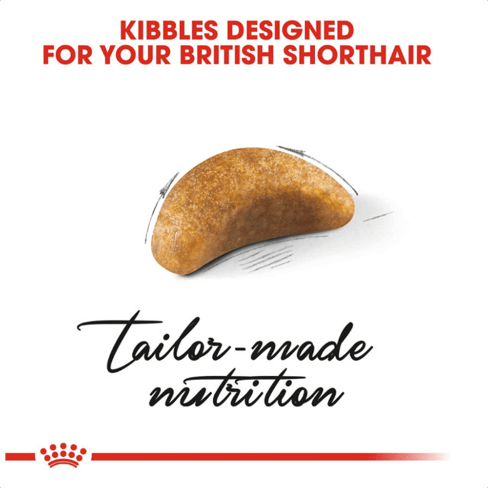 royal_canin_british_shorthair_kitten_dry_cat_food