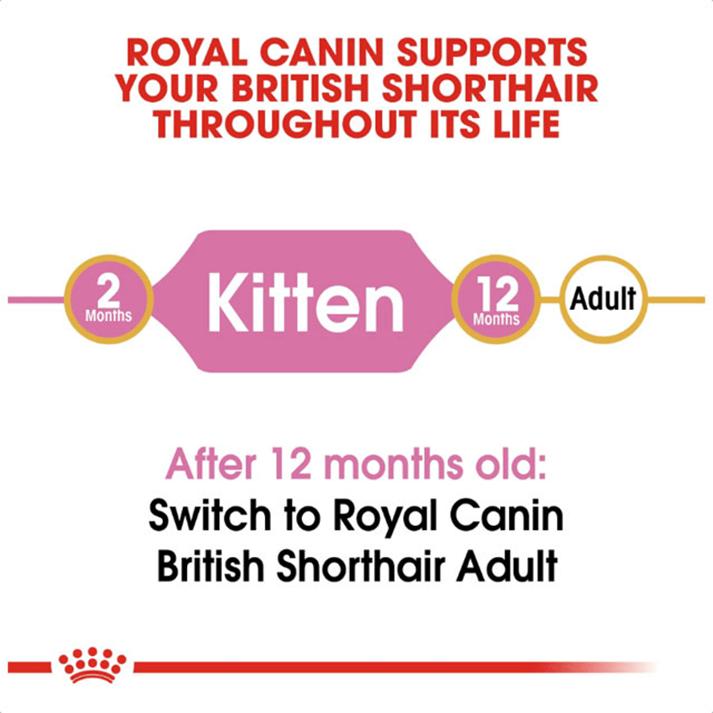 royal_canin_british_shorthair_kitten_dry_cat_food