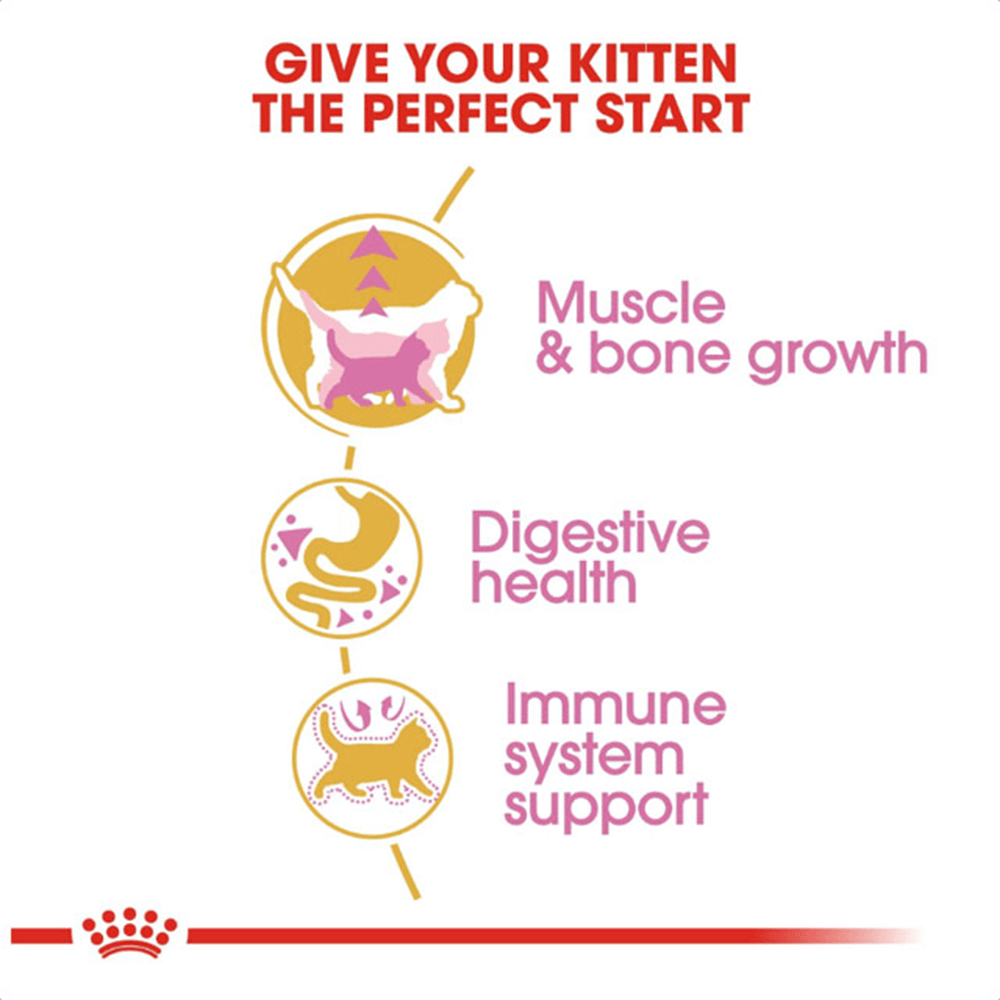 royal_canin_british_shorthair_kitten_dry_cat_food