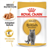 royal_canin_british_shorthair_wet_cat_food