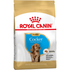 Royal Canin - Cocker Puppy  Dry Food 3 KG 