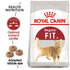 royal_canin_fit_32_dry_cat_food