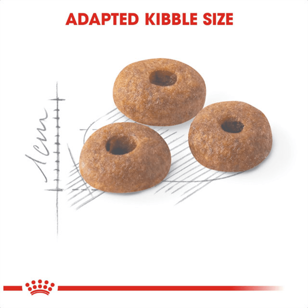 royal_canin_fit_32_dry_cat_food