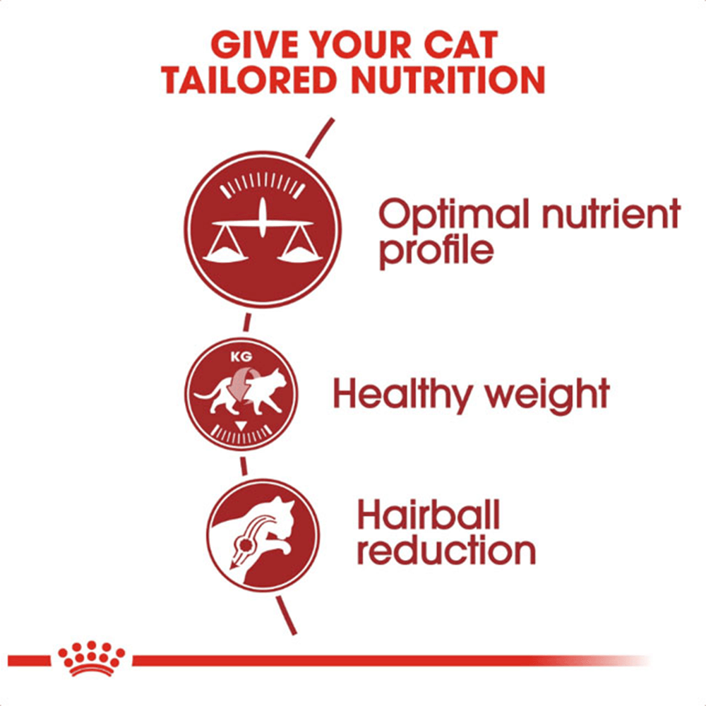 royal_canin_fit_32_dry_cat_food