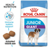 royal_canin_giant_junior_dry_dog_food