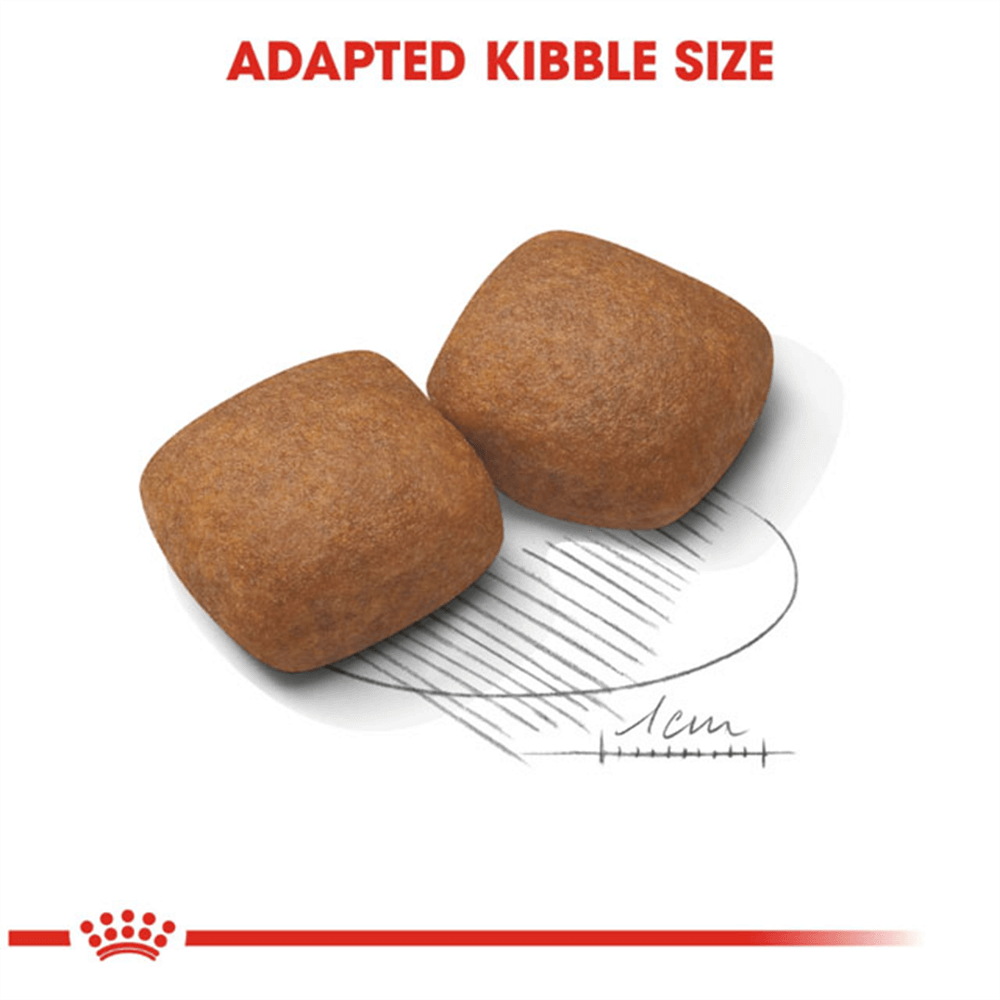 royal_canin_giant_junior_dry_dog_food