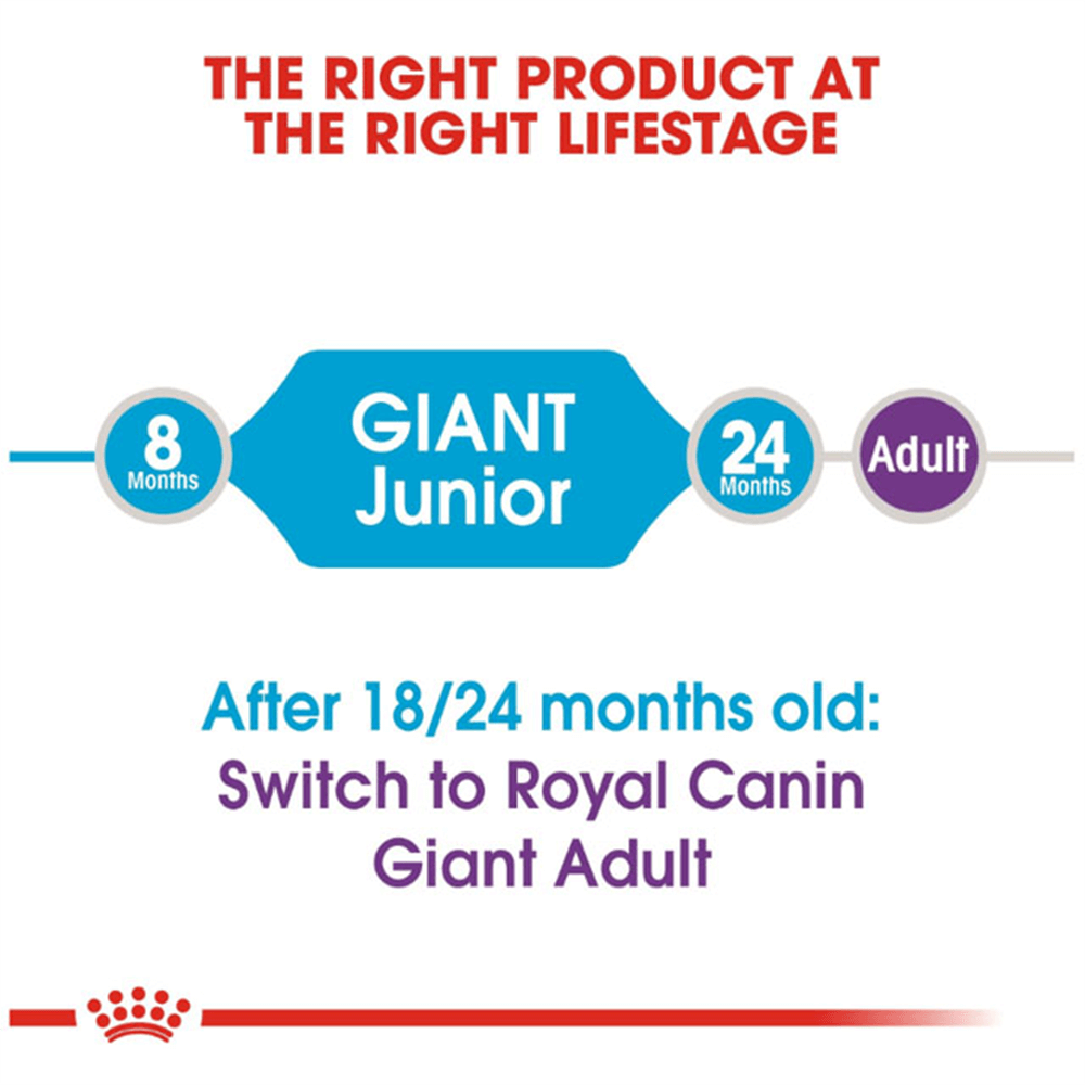 royal_canin_giant_junior_dry_dog_food
