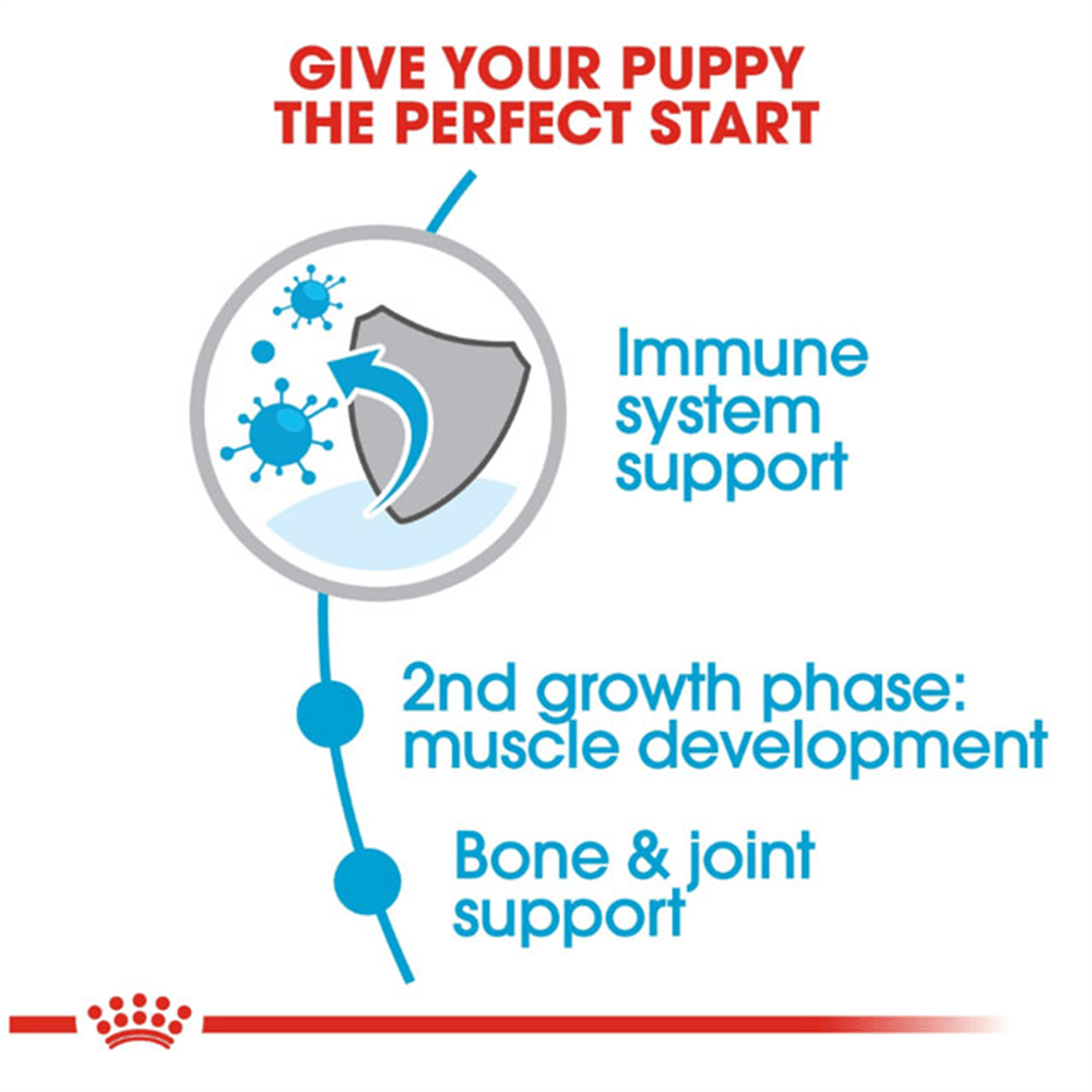 royal_canin_giant_junior_dry_dog_food