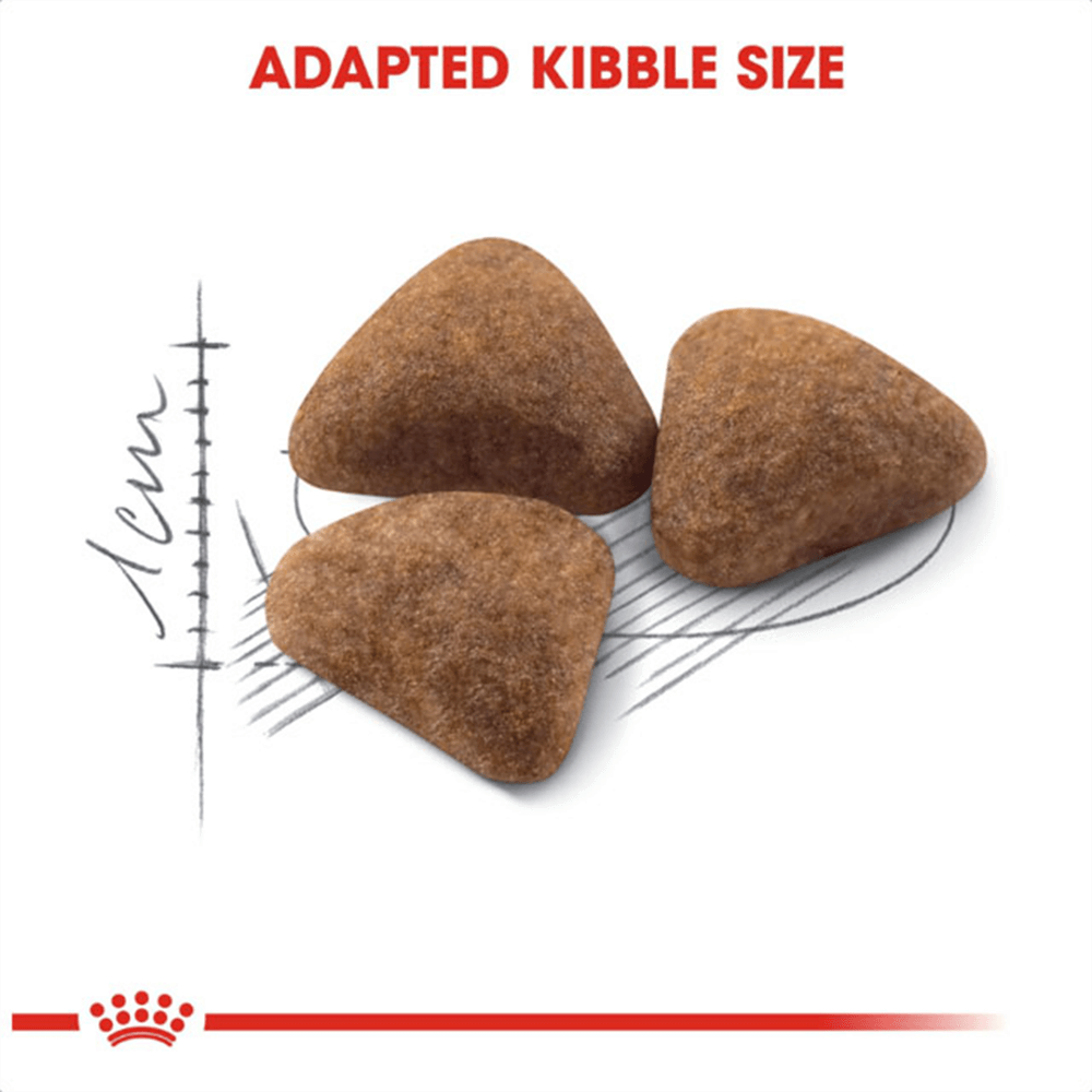 ROYAL CANIN - Feline Health Nutrition Indoor Dry Cat Food