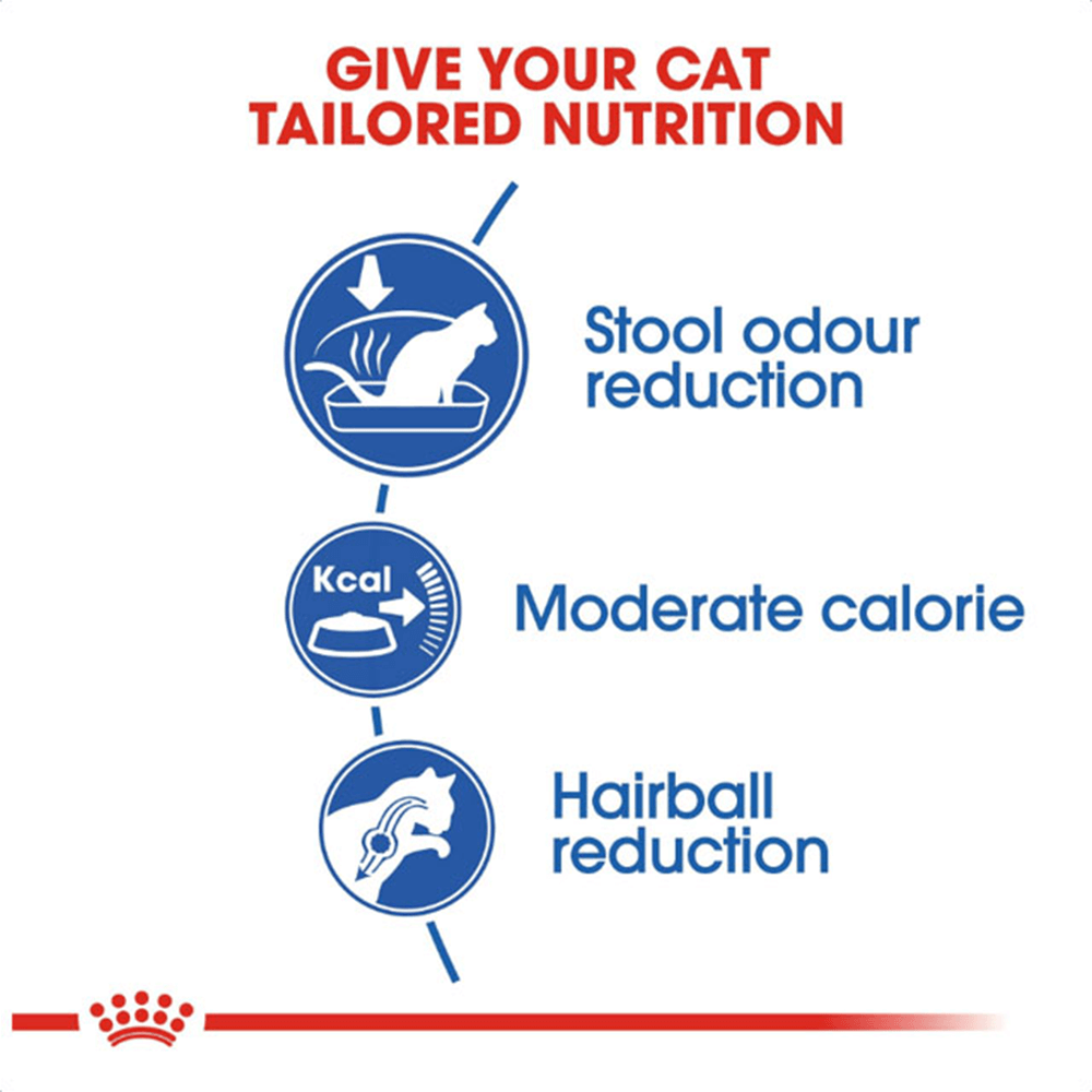 ROYAL CANIN - Feline Health Nutrition Indoor Dry Cat Food