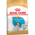 Royal Canin - Jack Russell Puppy  Dry Dog Food  1.5 KG