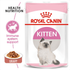 ROYAL CANIN - Feline Health Nutrition Kitten Gravy
