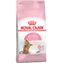 royal_canin_kitten_sterilised_dry_cat_food