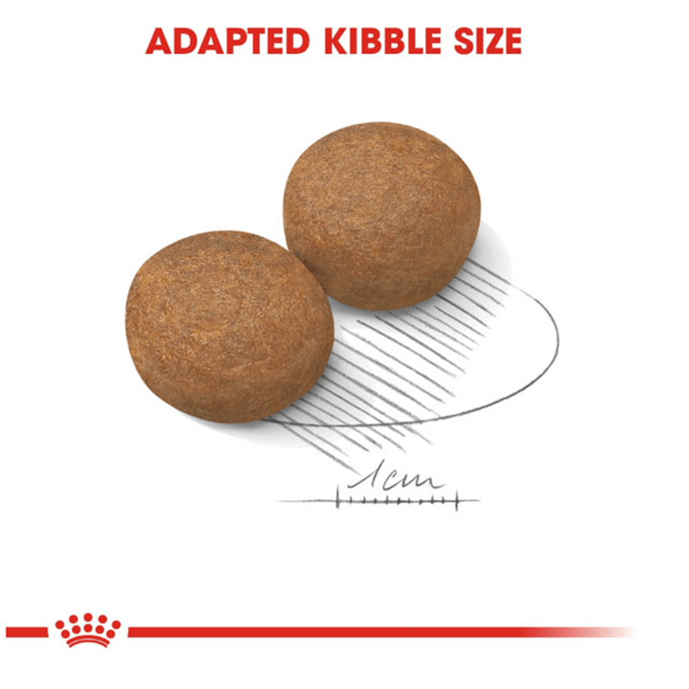 Royal Canin - Maxi Adult Dog Dry Food