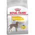 royal_canin_maxi_dermacomfort_dry_dog_food
