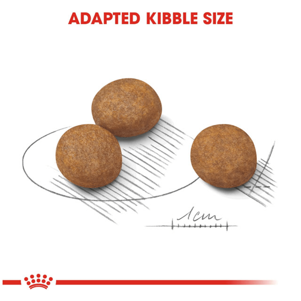 royal_canin_maxi_puppy_dry_dog_food