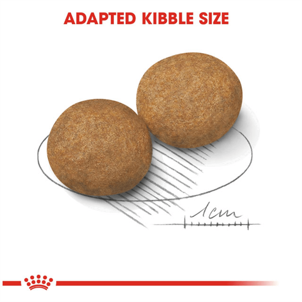 royal_canin_medium_adult_dry_dog_food