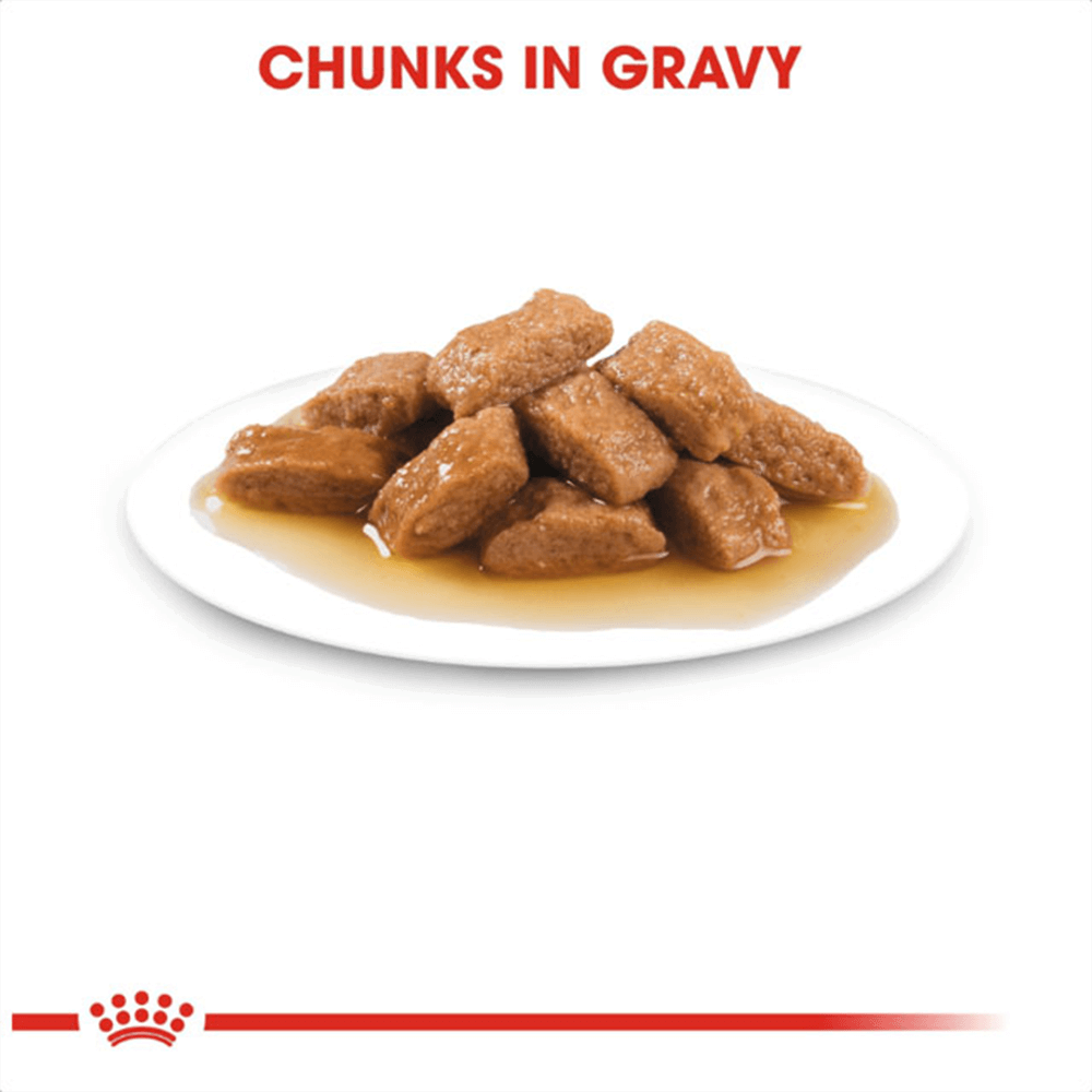 royal_canin_medium_adult_wet_dog_food