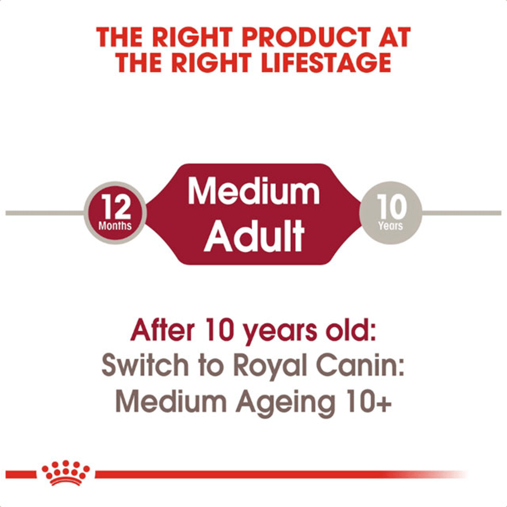 royal_canin_medium_adult_wet_dog_food