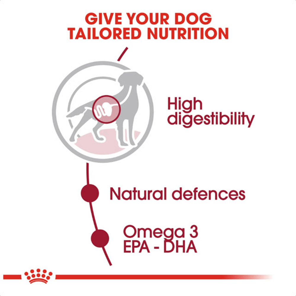 royal_canin_medium_adult_wet_dog_food